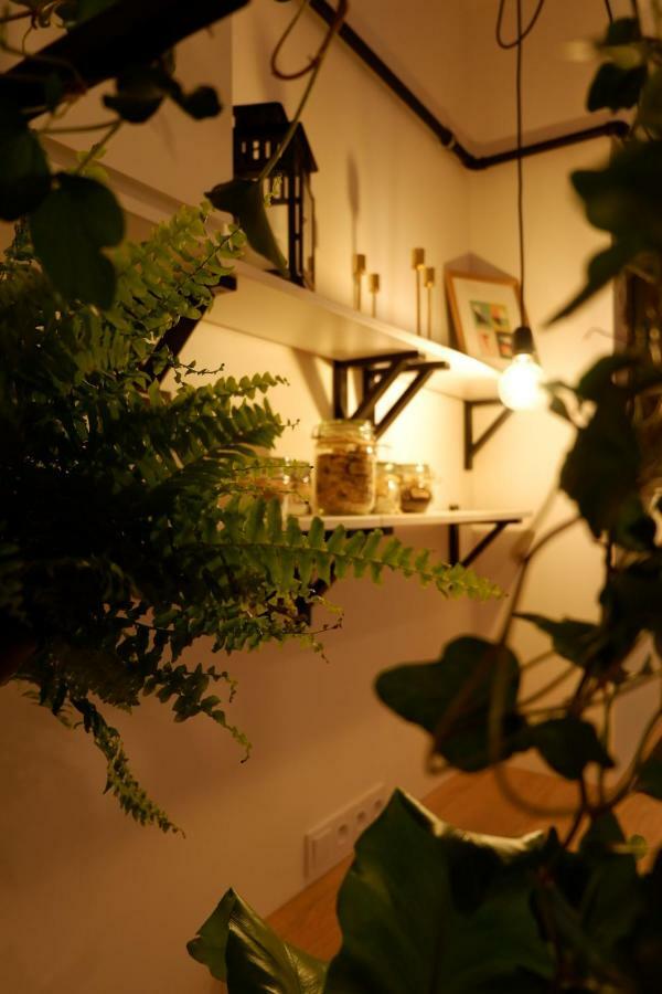 Singer Apartment Old Town 크라쿠프 외부 사진